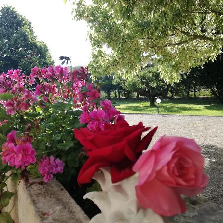 B&B Villa Napoli バッティパーリア エクステリア 写真