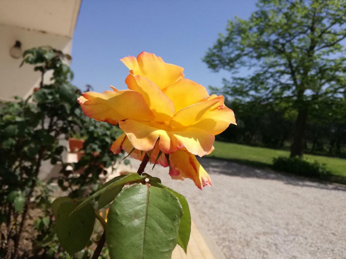 B&B Villa Napoli バッティパーリア エクステリア 写真