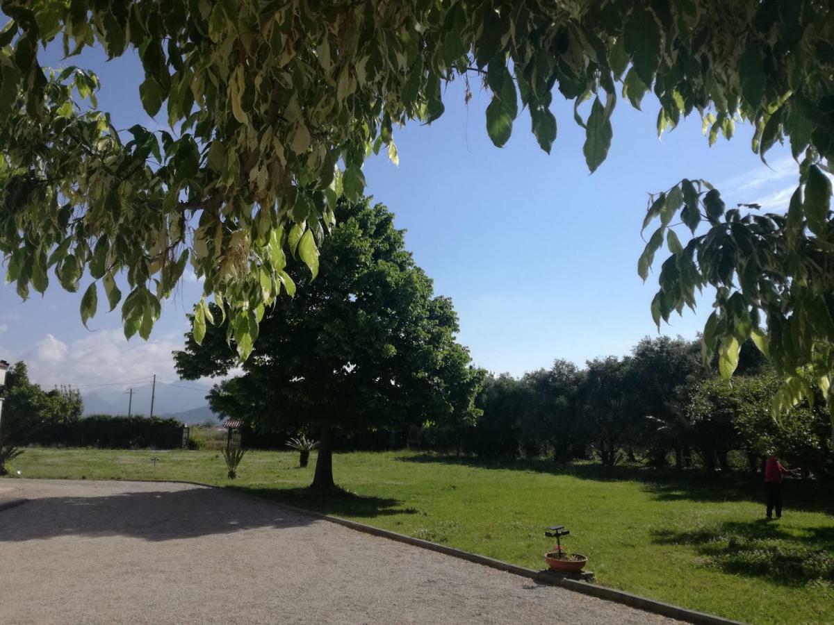 B&B Villa Napoli バッティパーリア エクステリア 写真