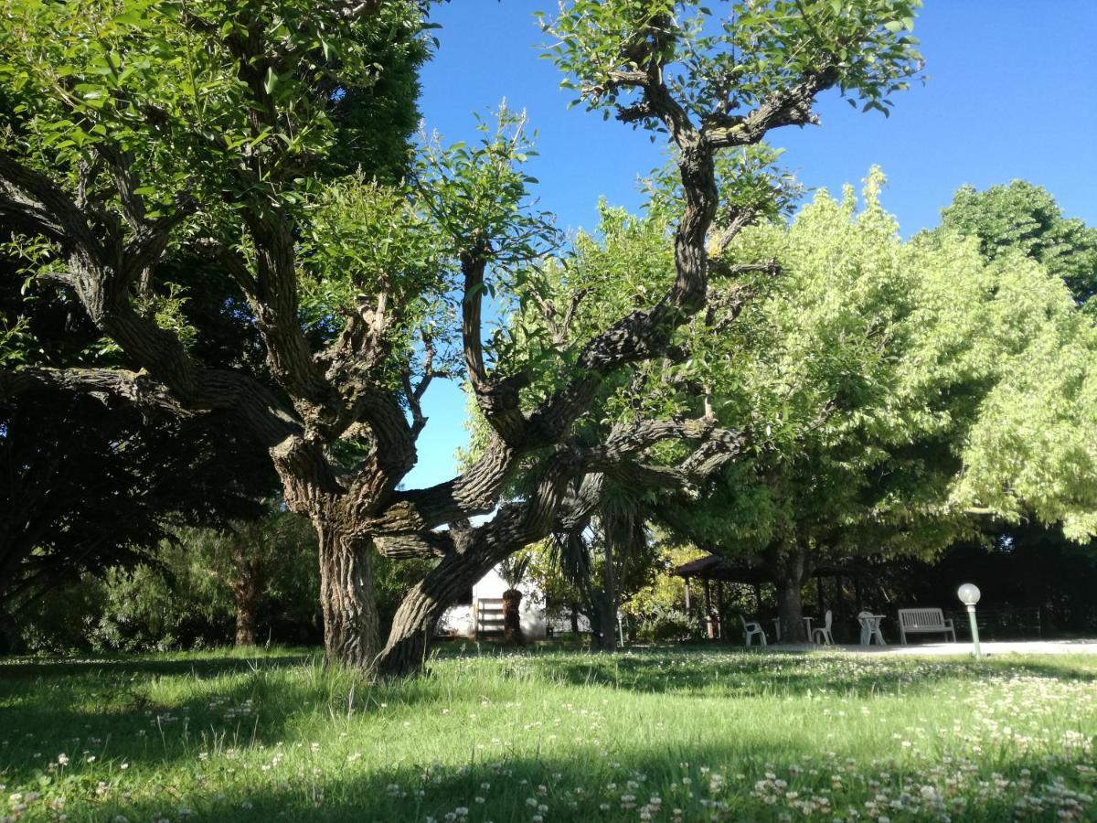 B&B Villa Napoli バッティパーリア エクステリア 写真